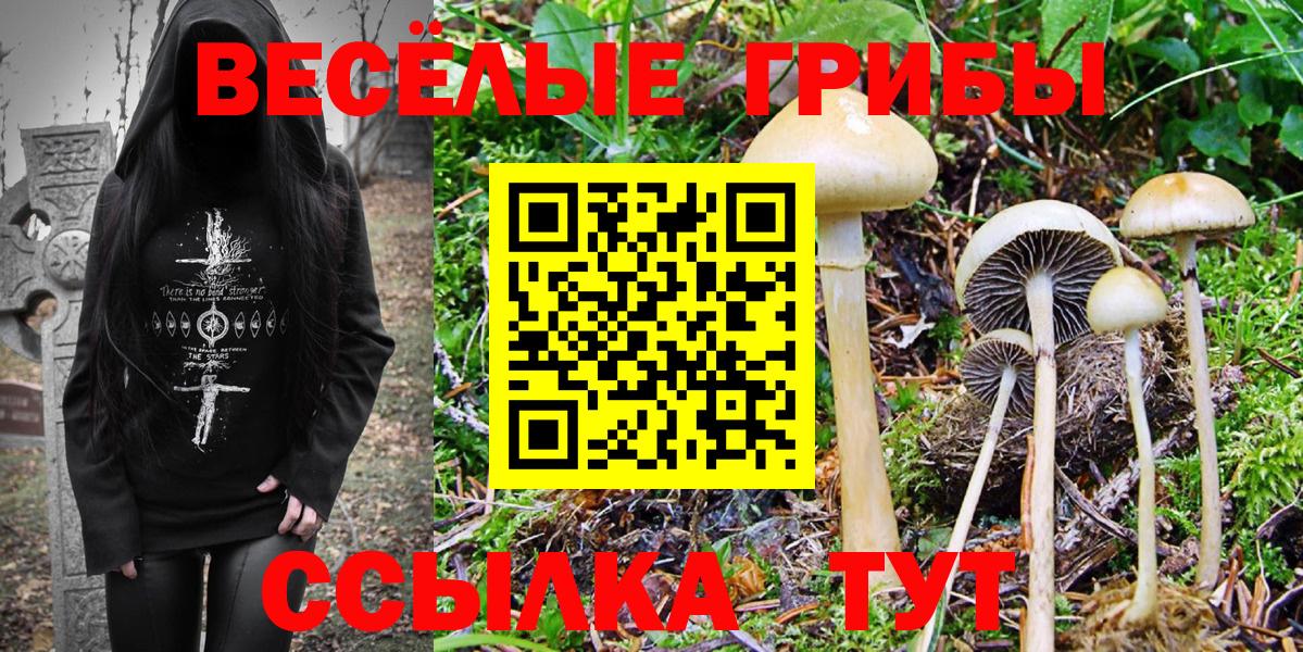 Муравленко  Галлюциногенные грибы мухоморы  Вход с VPN 