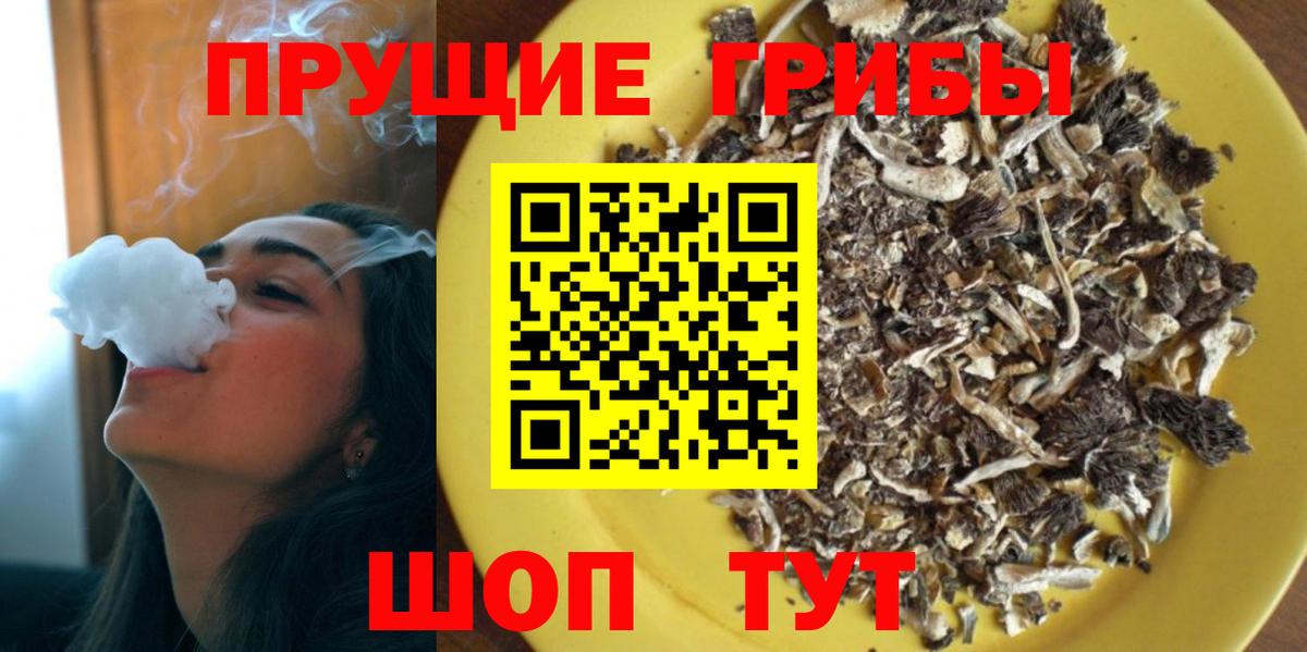 Псилоцибиновые грибы мицелий Муравленко